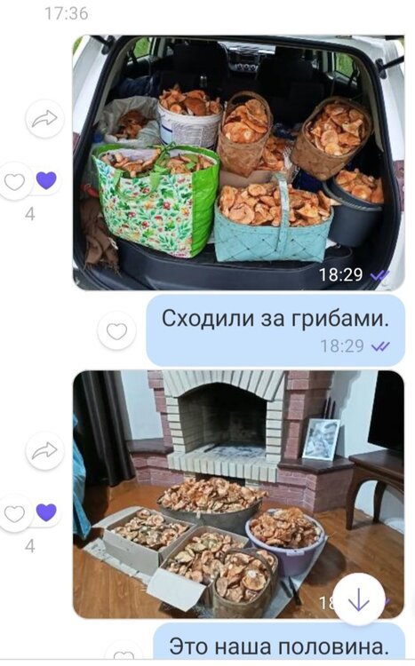 Сходили за грибами 2021.jpg
