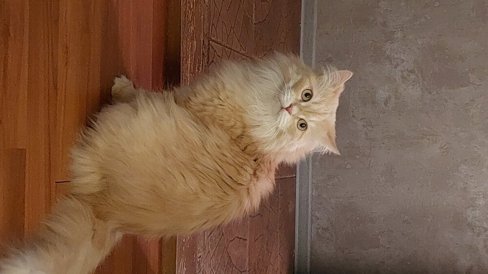 20220423_215152.jpg