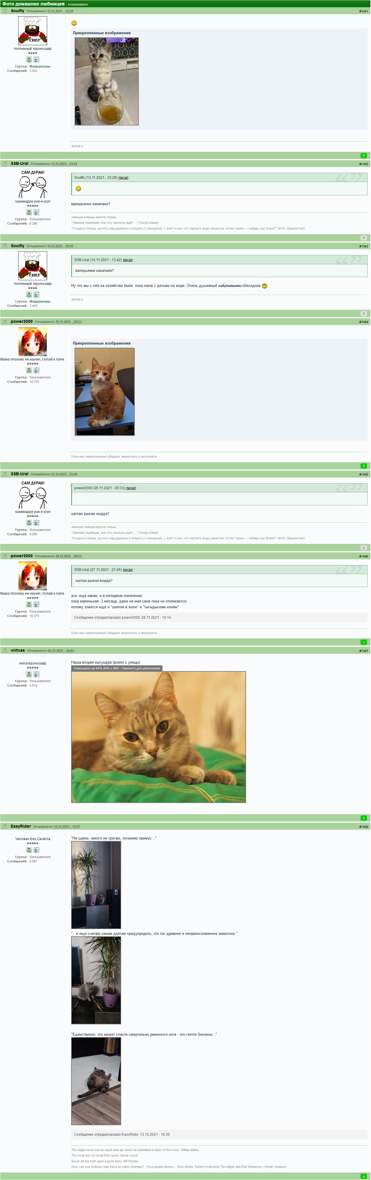 884583532_.png.3c1bcc5735a5cefa0c6deb1331dec92d.png