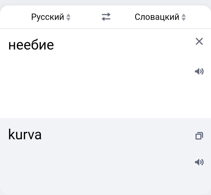 IMG_20220419_153212.jpg