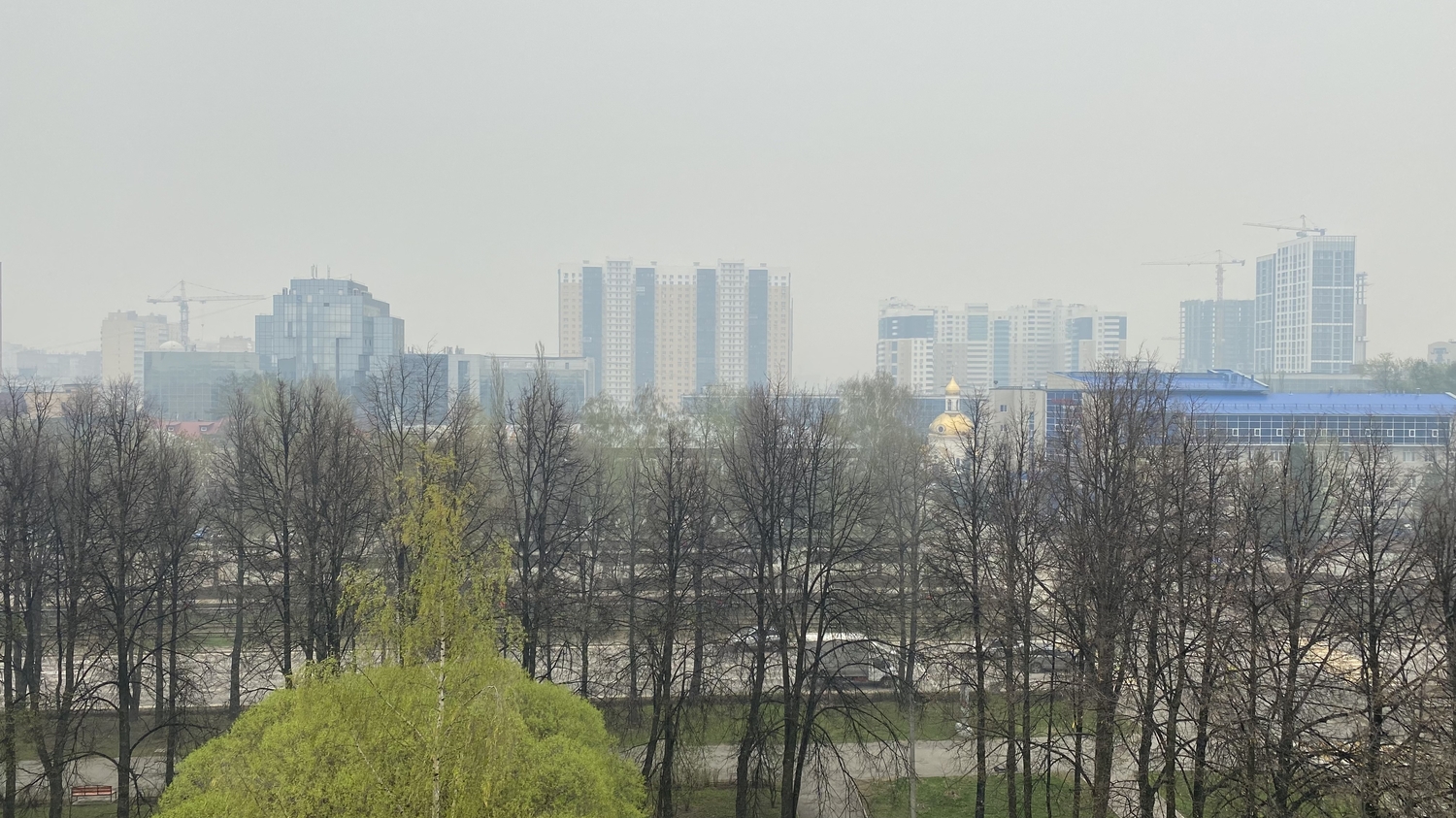 1DD9F198-1920-41A0-876E-B2C20320D7E5.jpeg