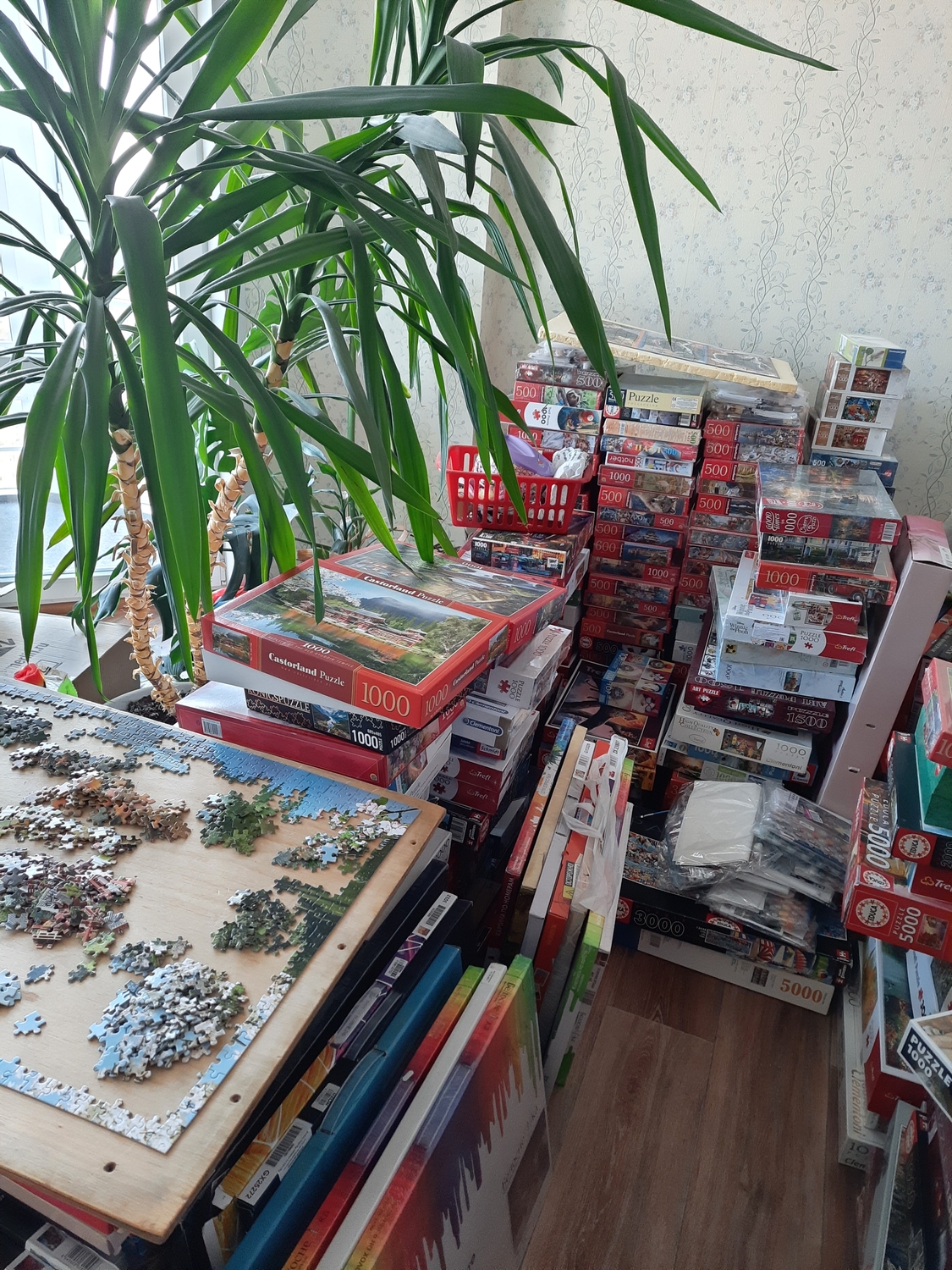 20220507_061350.jpg