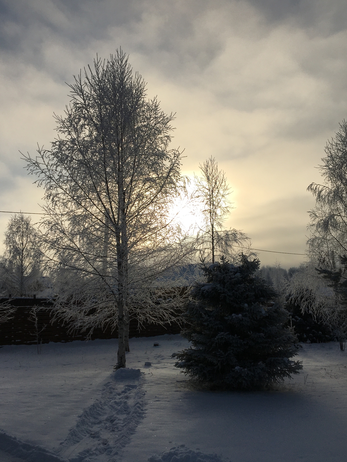 3F3A5561-03DD-4689-8B93-56EE3C273B17.jpeg
