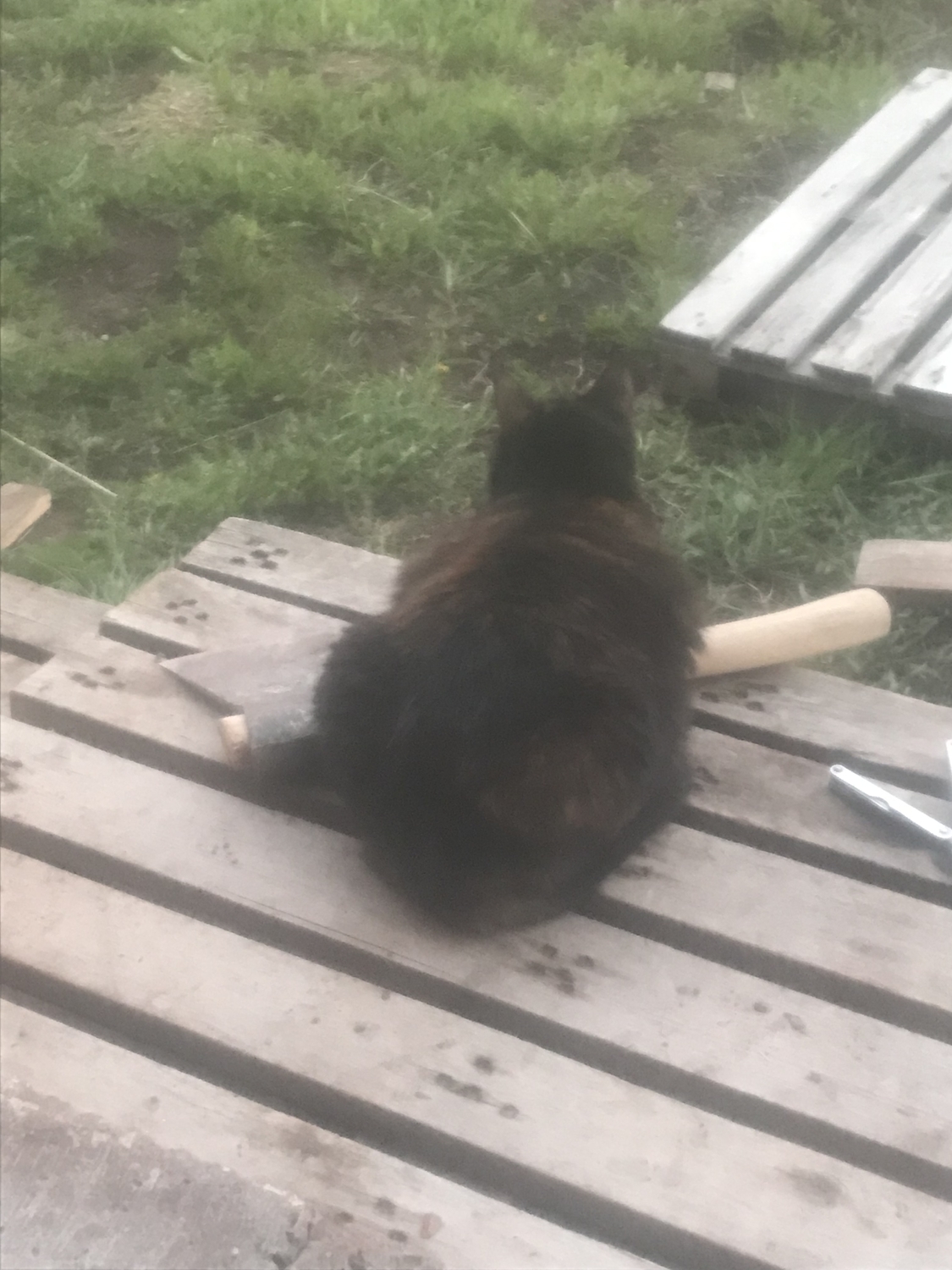 A9ECB1FA-2770-4749-B562-BFA9C18AB372.jpeg