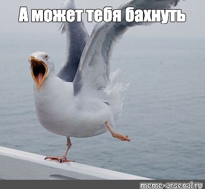 image.png.ae9f4117c4c68e1248d3a75548d6662f.png