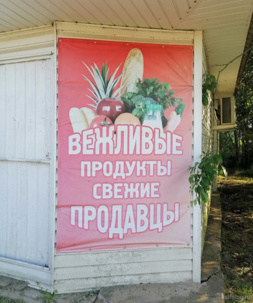 606729.jpg