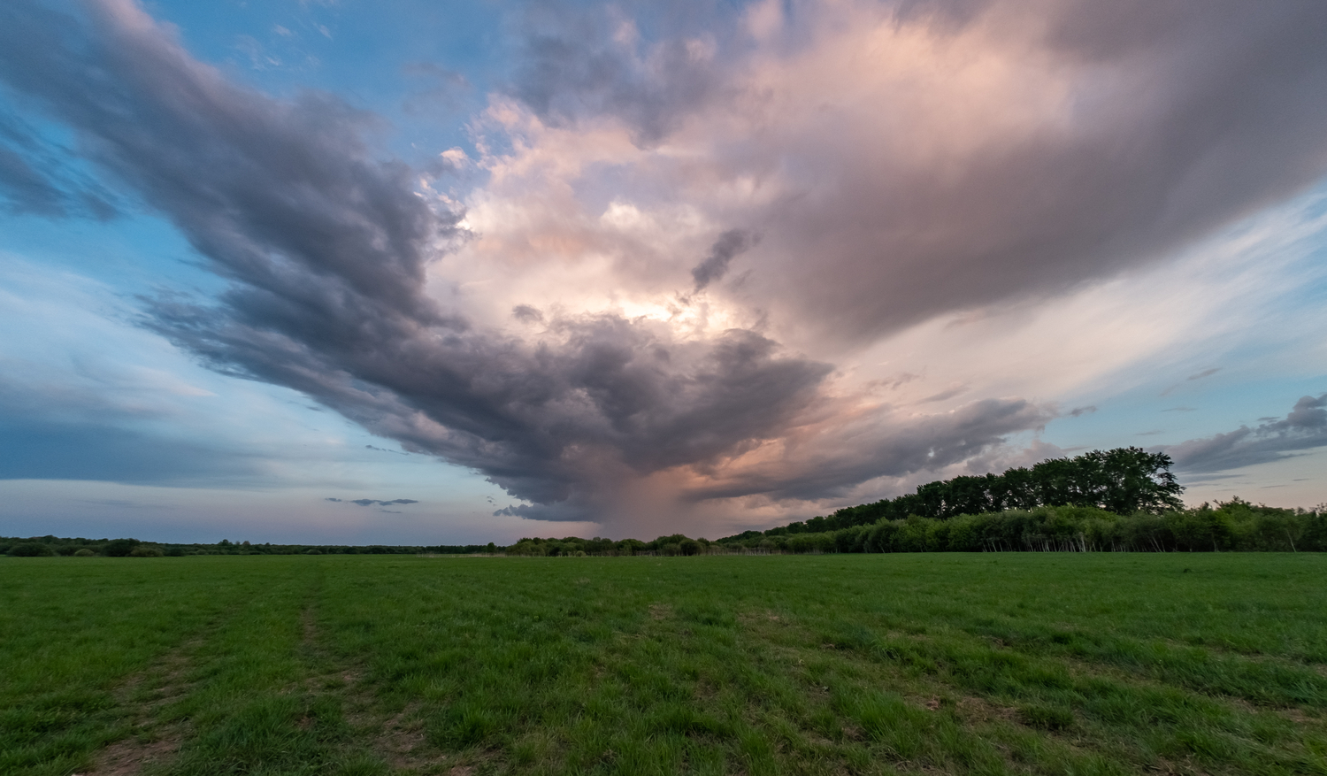 DSCF6915-1.jpg