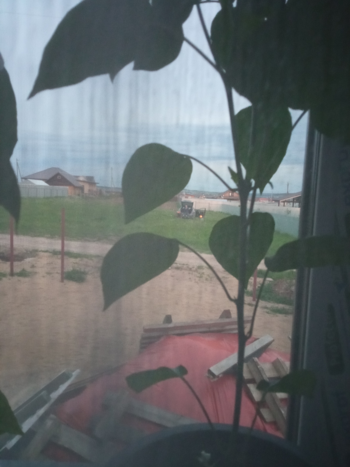 IMG_20220604_222715.jpg