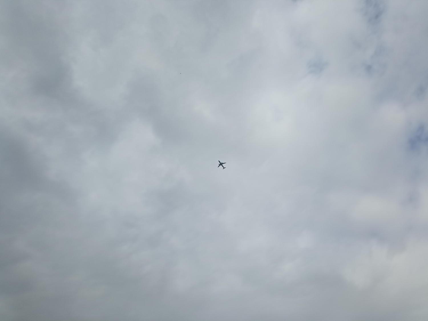 IMG_20220605_152251.jpg