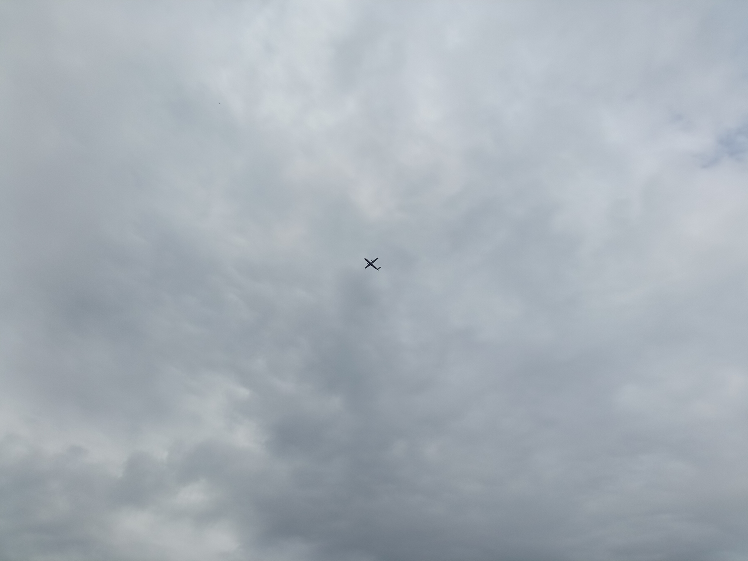 IMG_20220605_152518.jpg