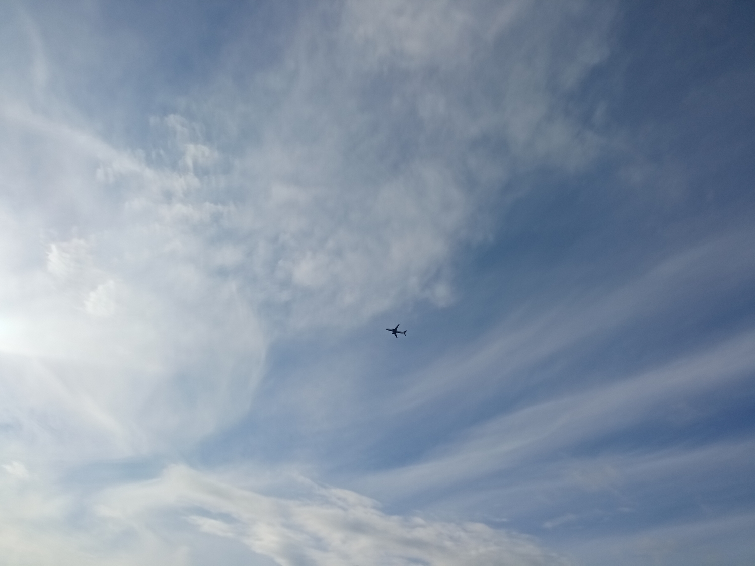 IMG_20220605_191945.jpg