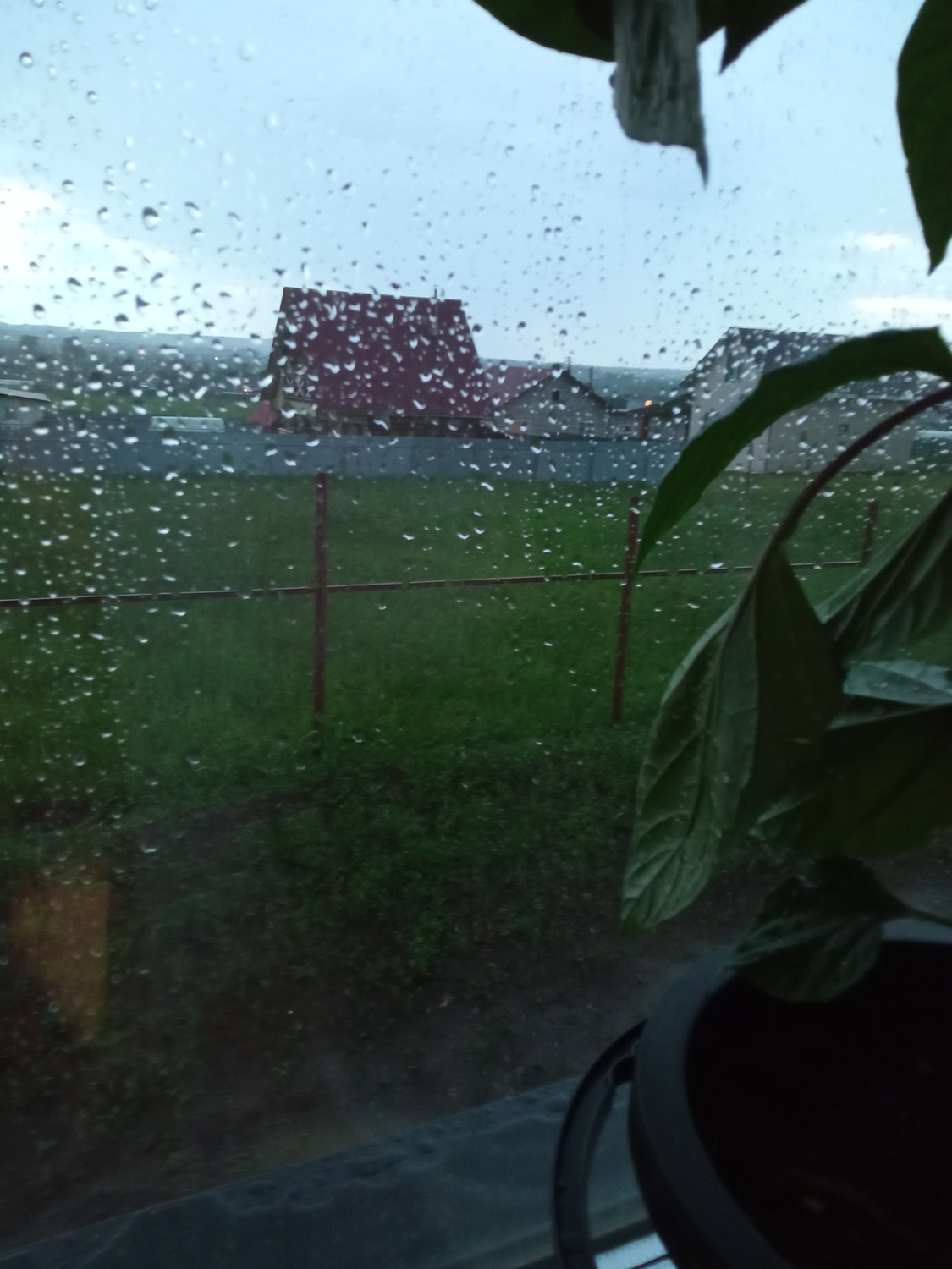 IMG_20220610_221114.jpg