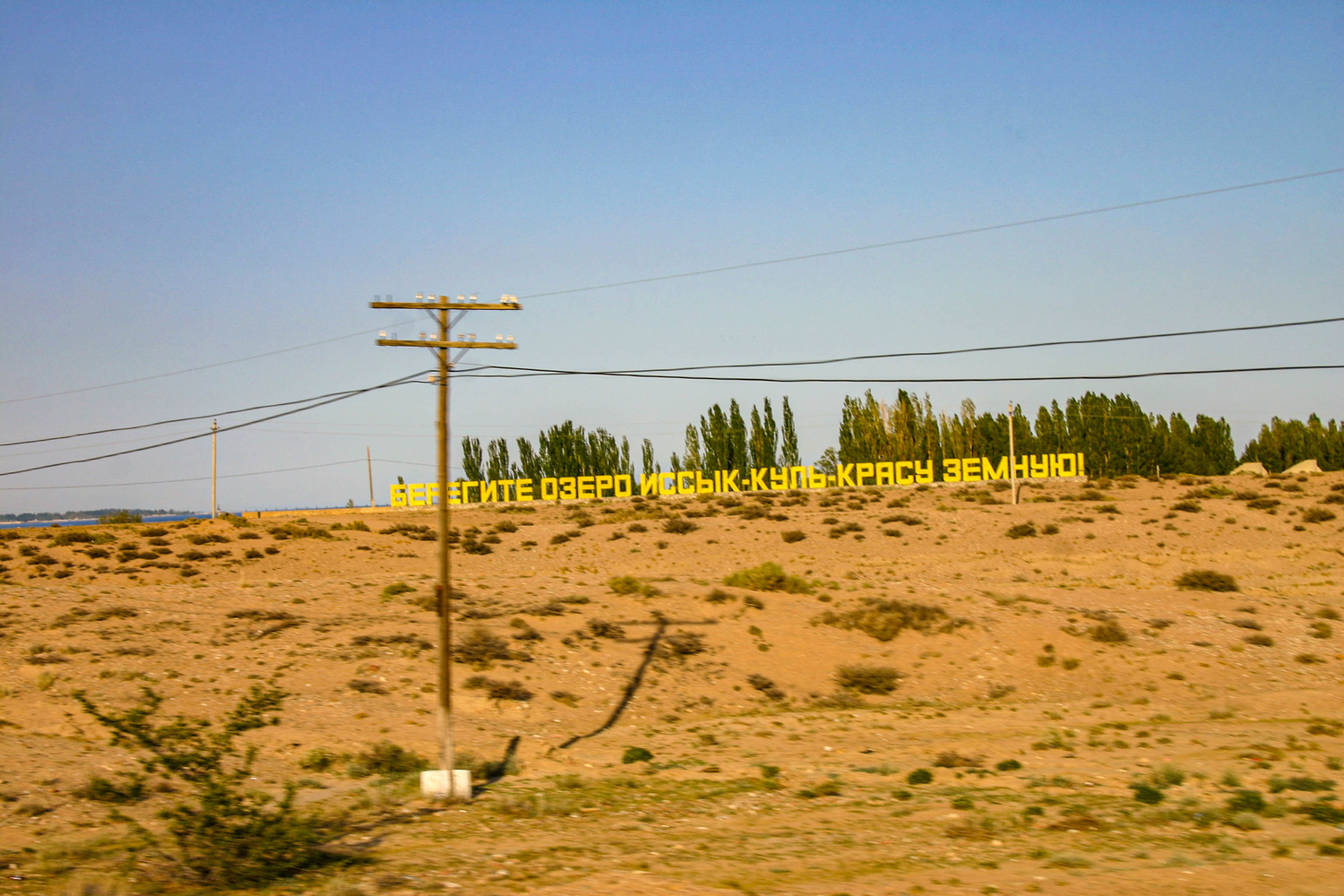 IMG_9200.jpg