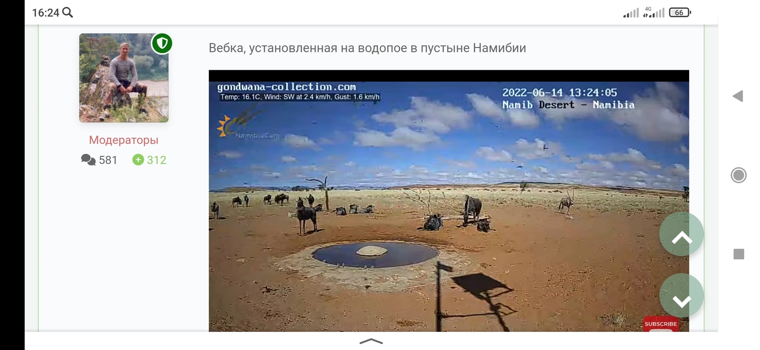 Screenshot_2022-06-14-16-24-17-930_ru.yandex.searchplugin.jpg
