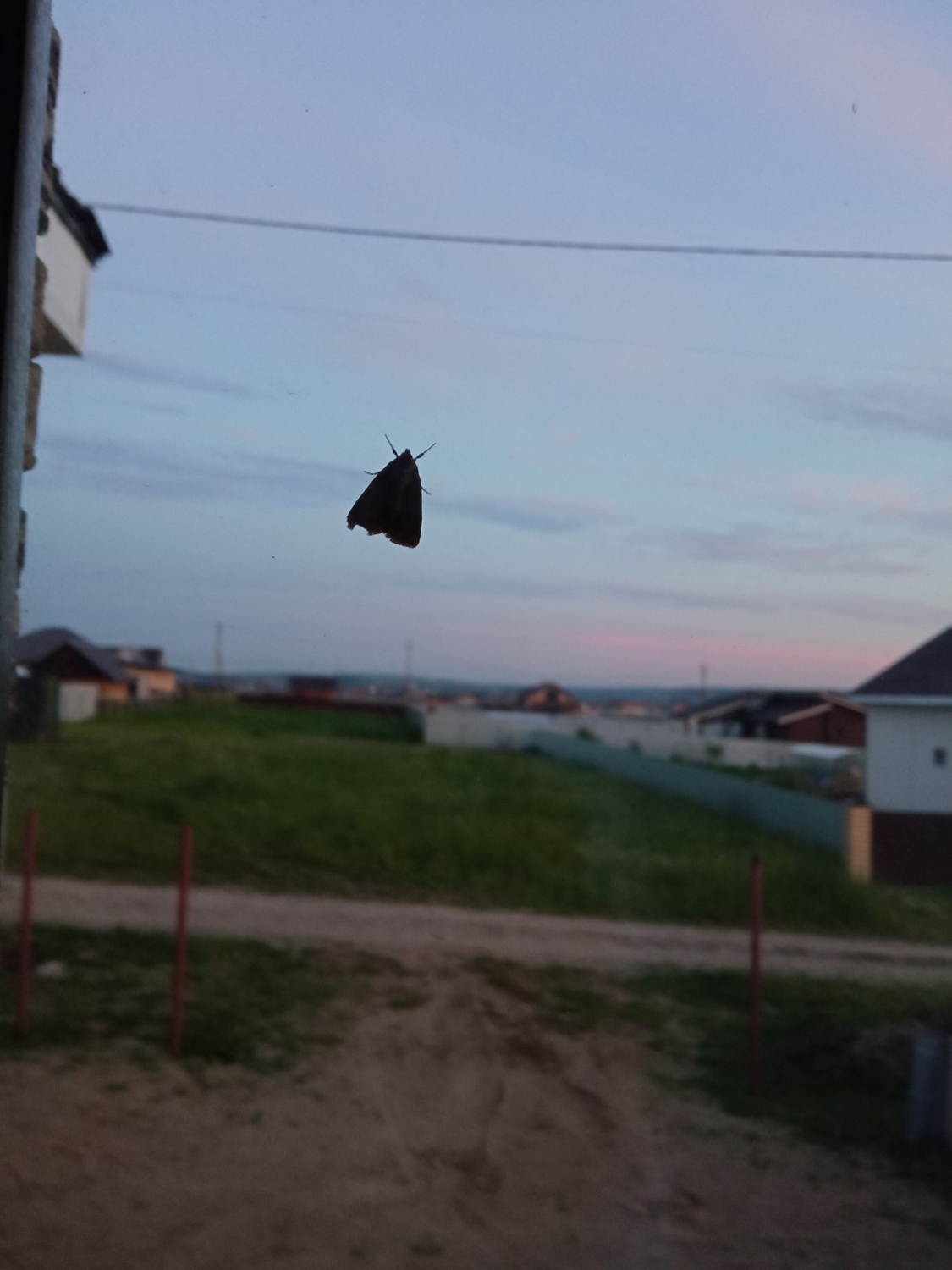 IMG_20220701_224154_compress17.jpg