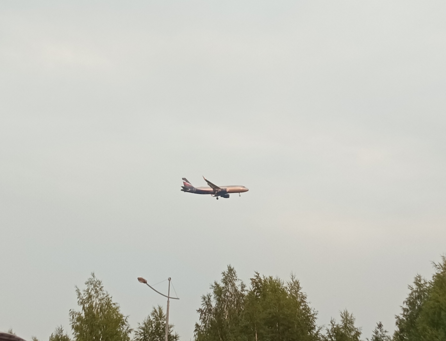 IMG_20220711_212437.jpg