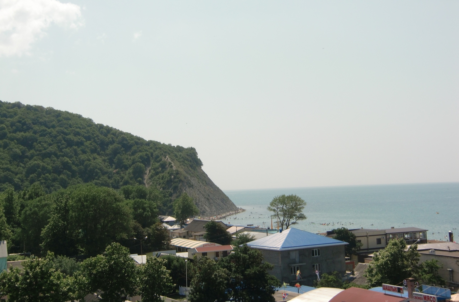 IMG_20220727_171659.jpg