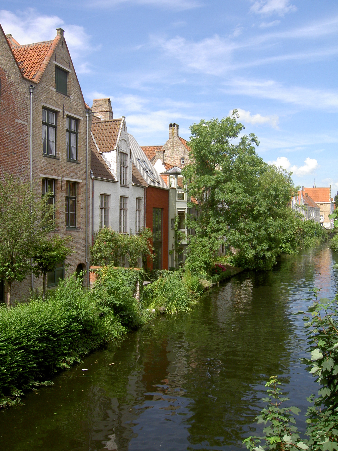 PICT2348.JPG