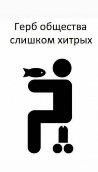 595838.jpg