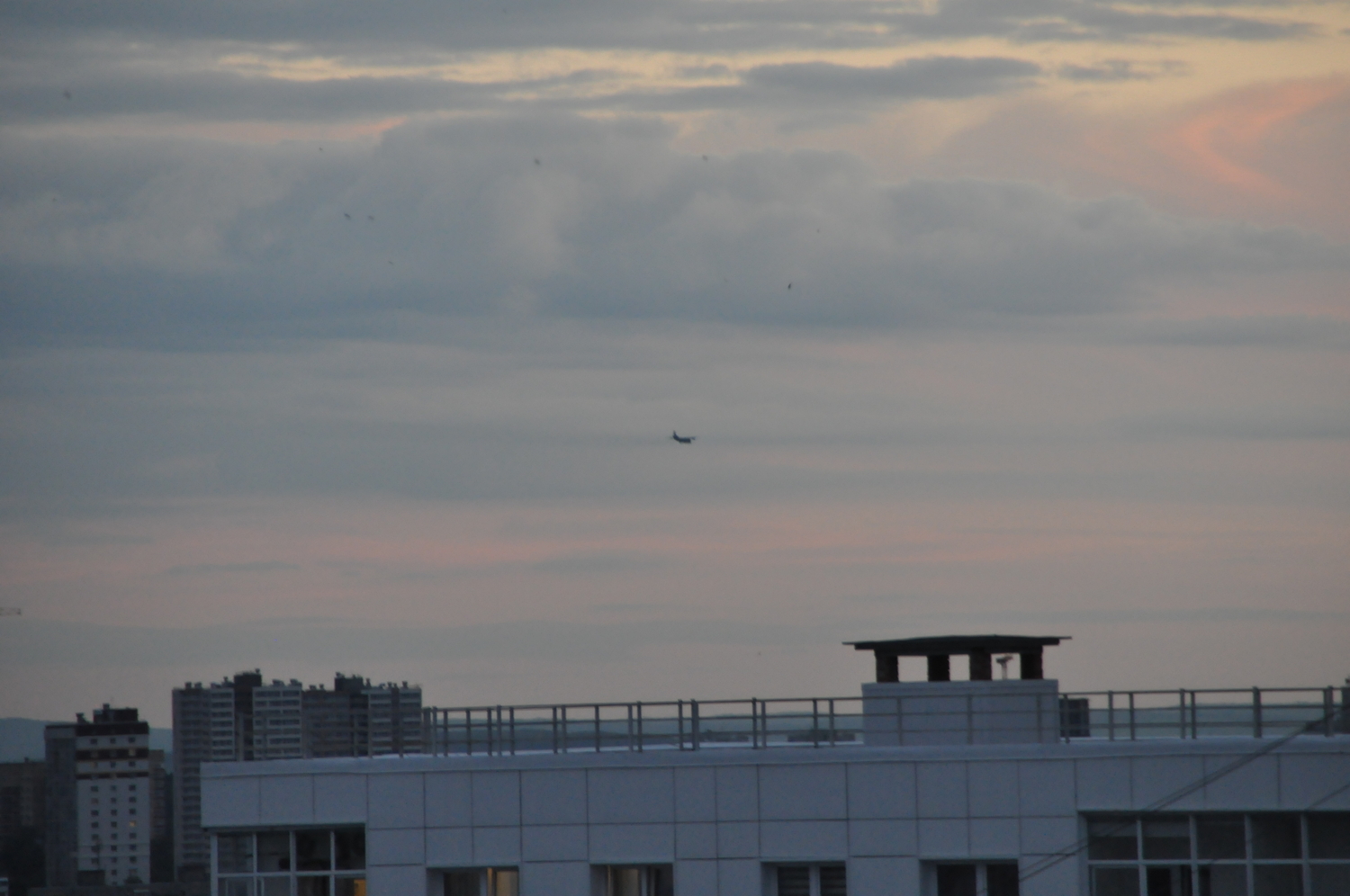DSC_1917.JPG