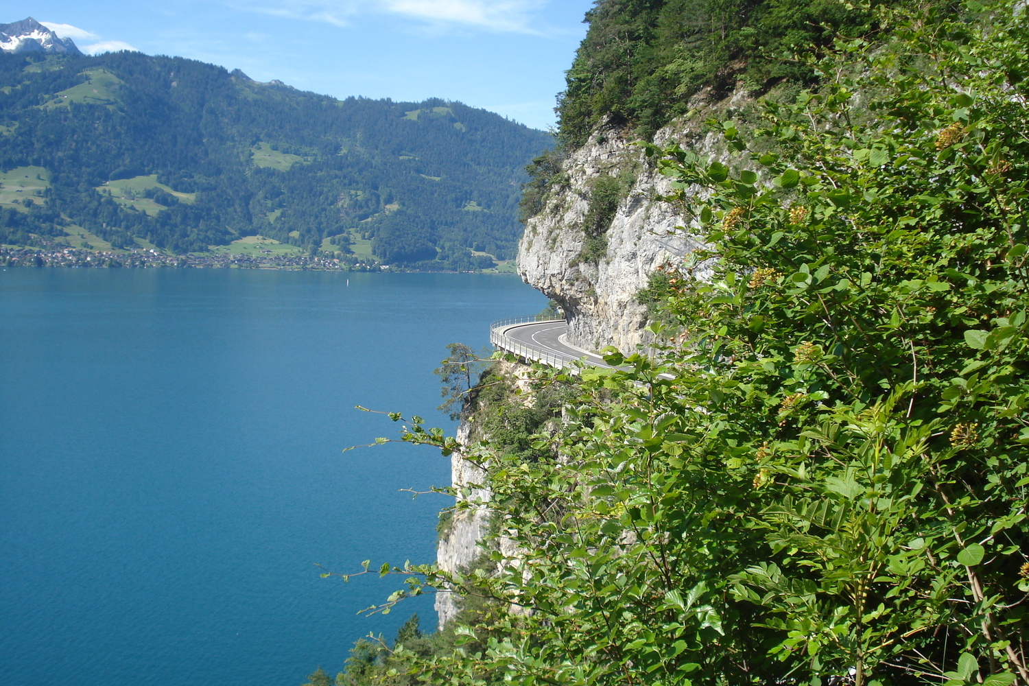 DSC01487.JPG