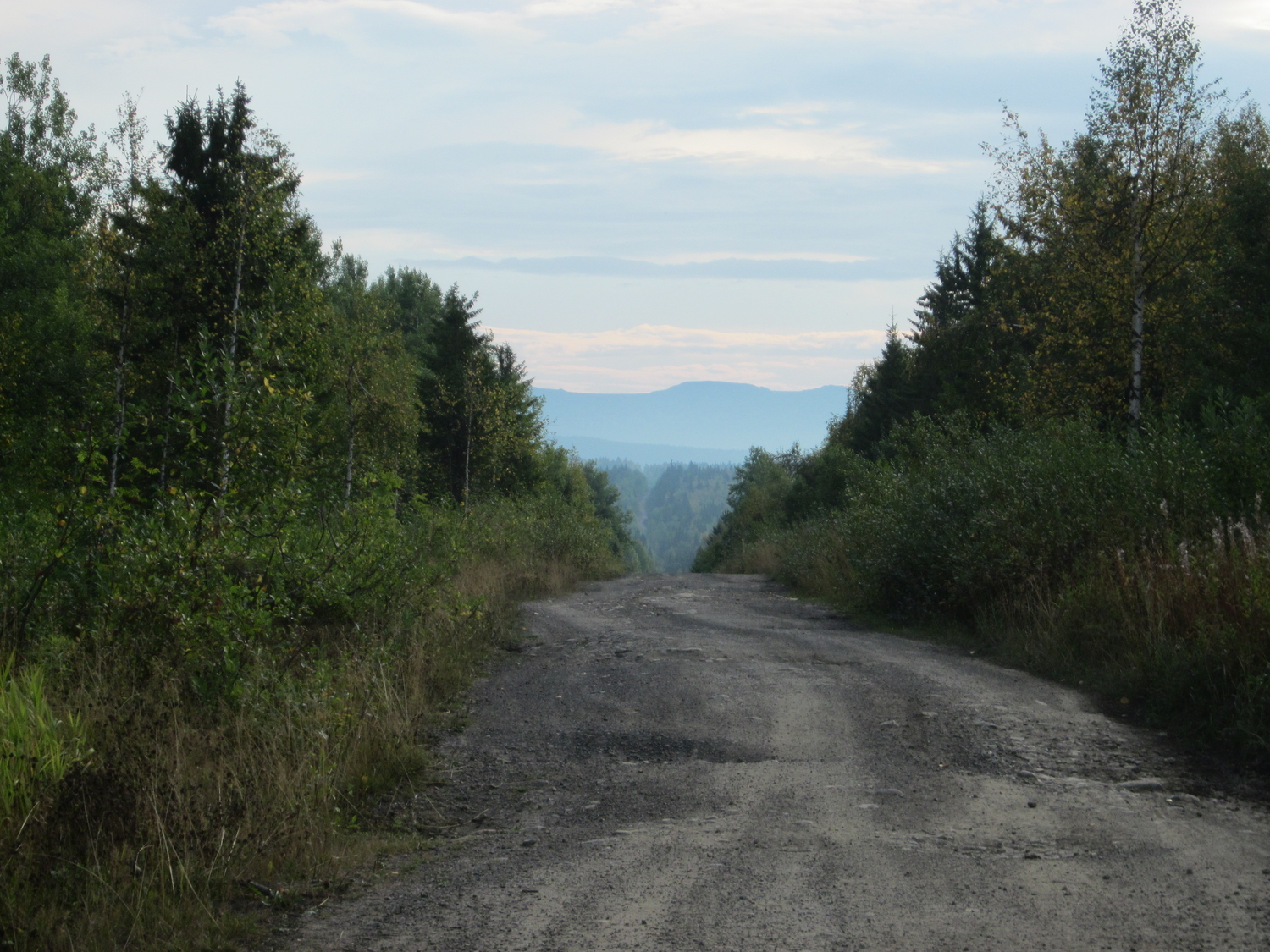 IMG_9743.JPG