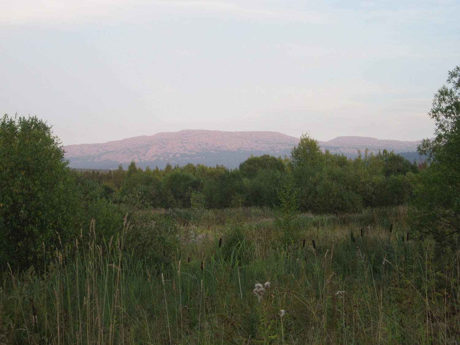 IMG_9788.JPG