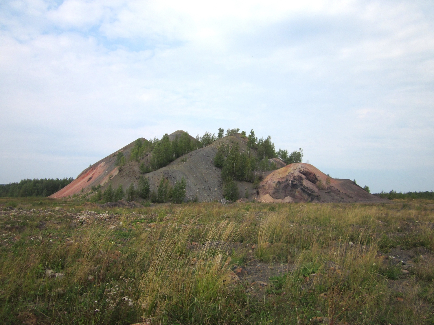 IMG_9808.JPG