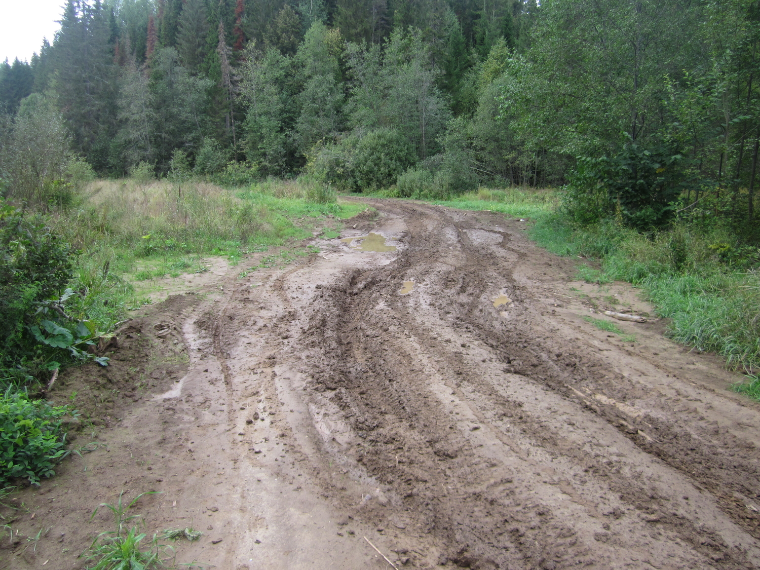 IMG_9838.JPG