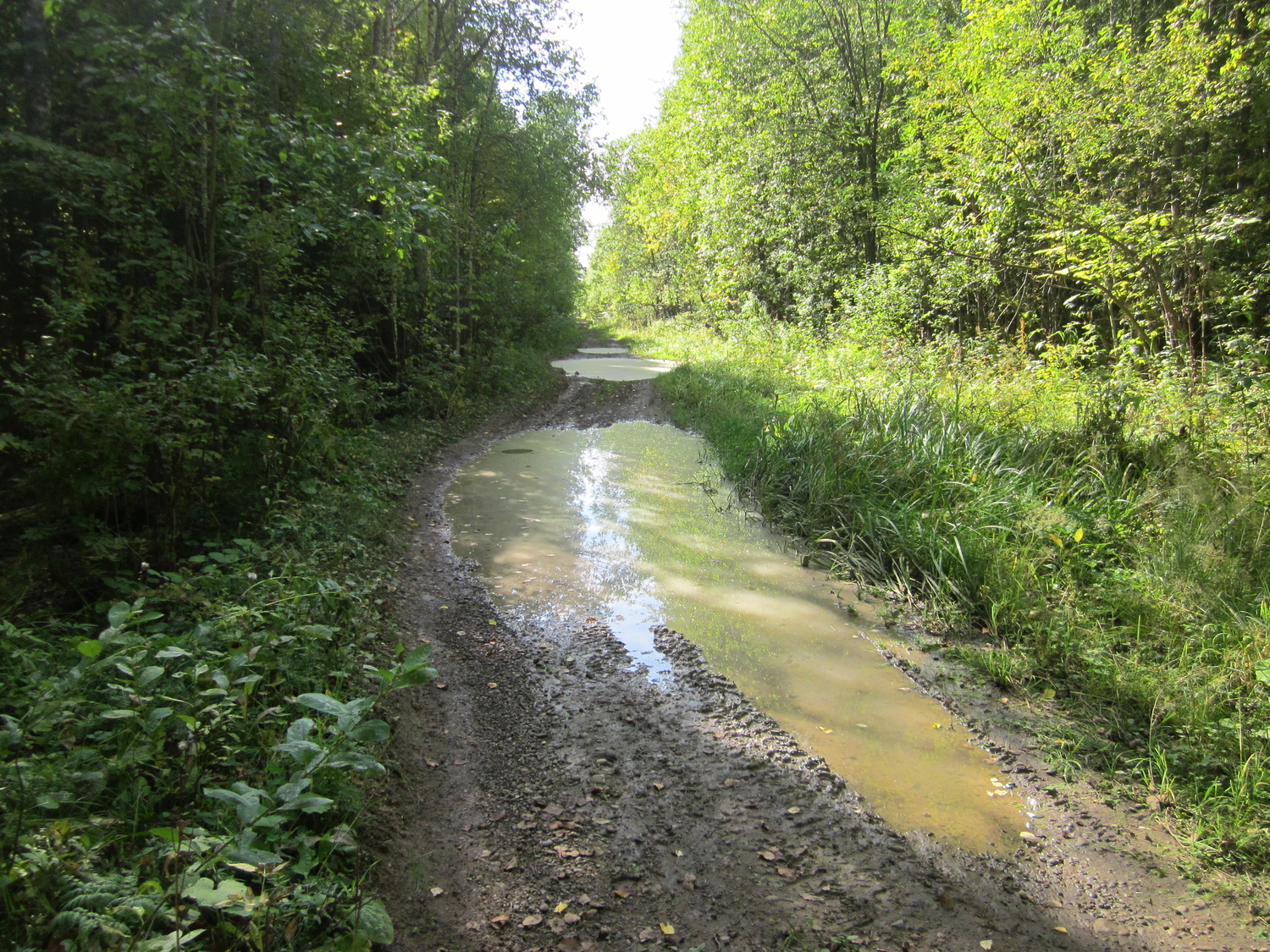 IMG_9849.JPG