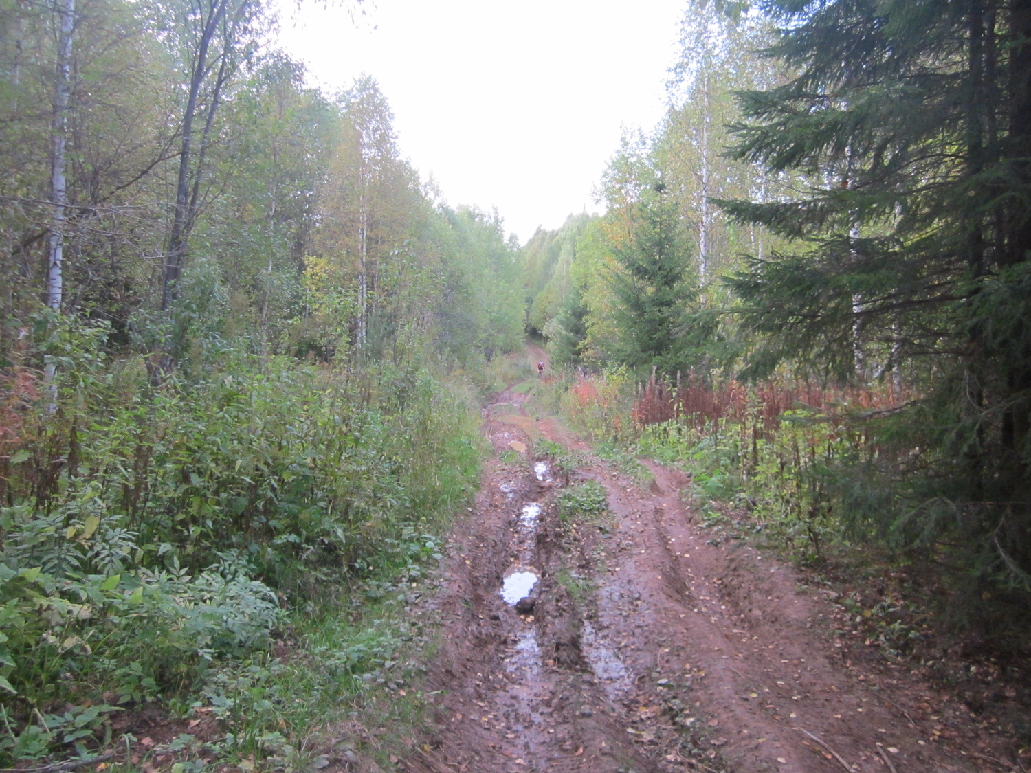 IMG_9866.JPG