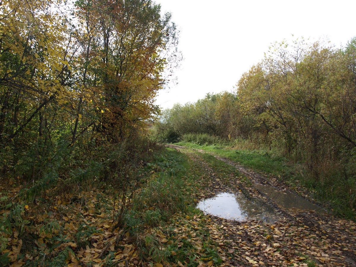P9226822-r.JPG