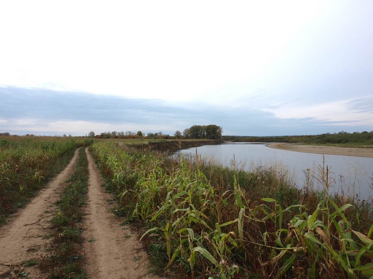 P9226829-r.JPG