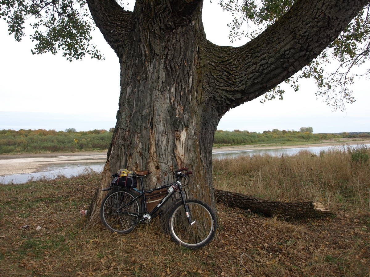 P9226831-r.JPG