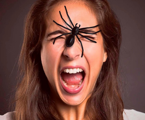 image.png.a8002a636217e629562596e979d4d7ba.png