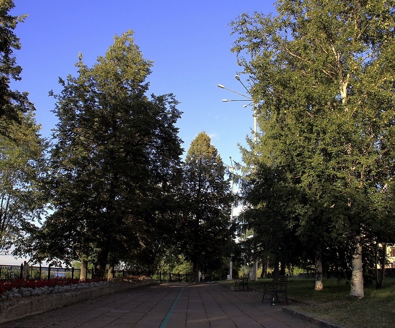 y_bbba7a4a.jpg.9af4655dc789edce606620f2e14963d1.jpg