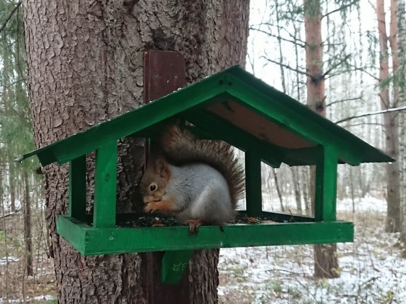 DSC_0433.JPG