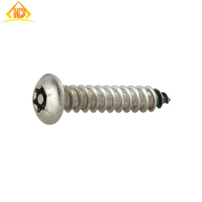 Stainless-Pan-Head-Torx-Tamper-Resistant-Self-Drilling-Screws.jpg