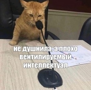b063d17974cc71fdf24d40e8a9500fca.jpg
