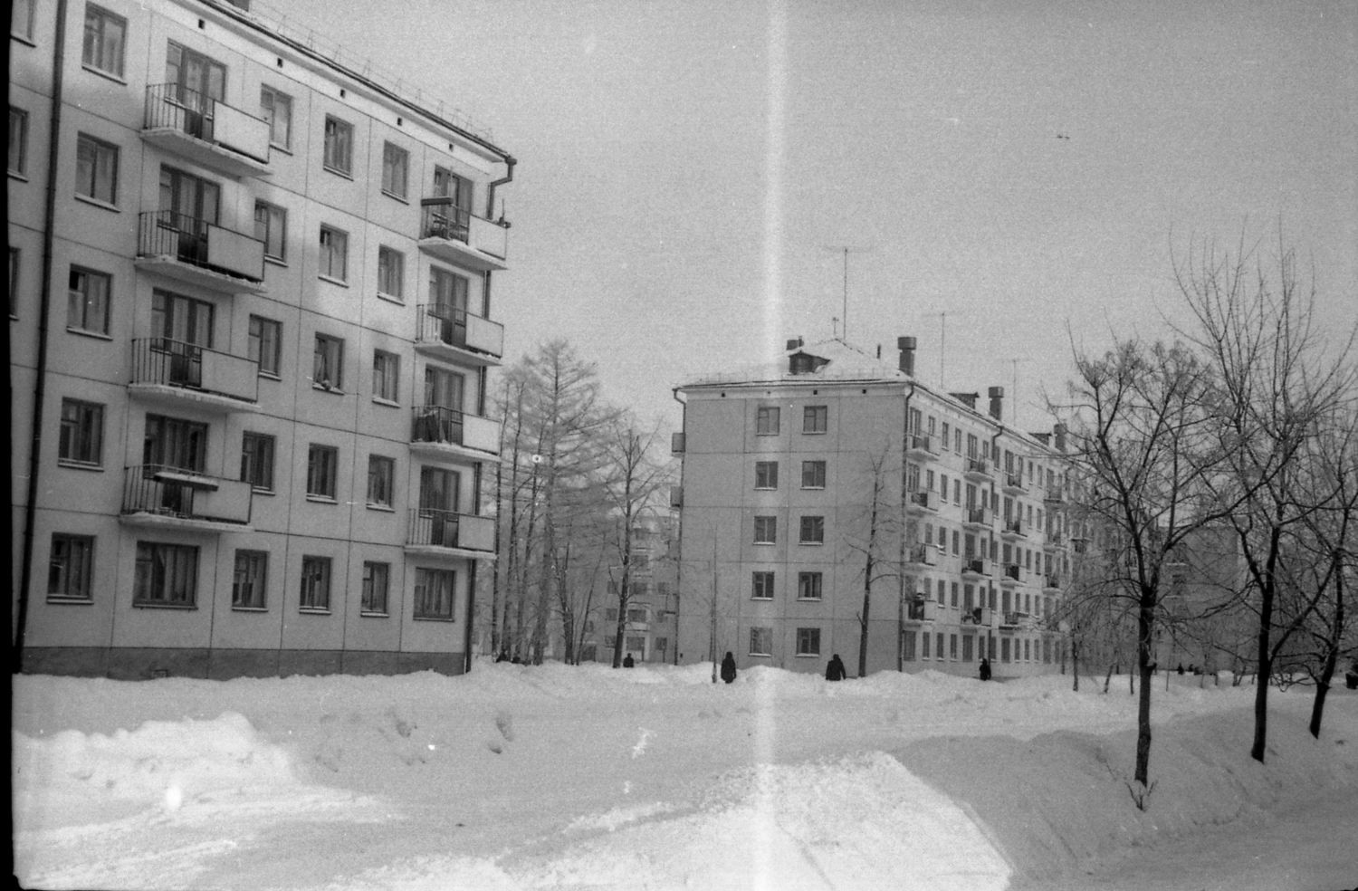img131.jpg