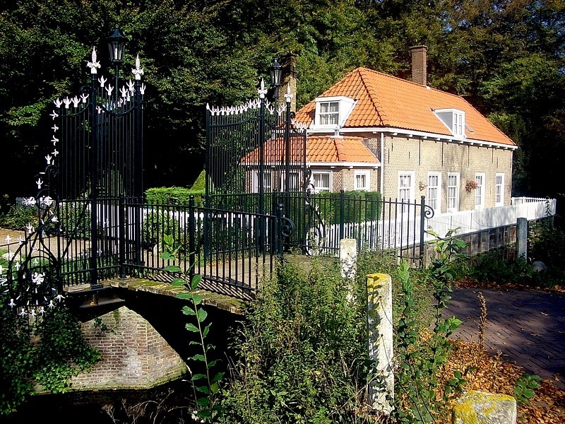 y_943ede3b.jpg.c9ed5b2dea459ee9895273bf9d2be603.jpg