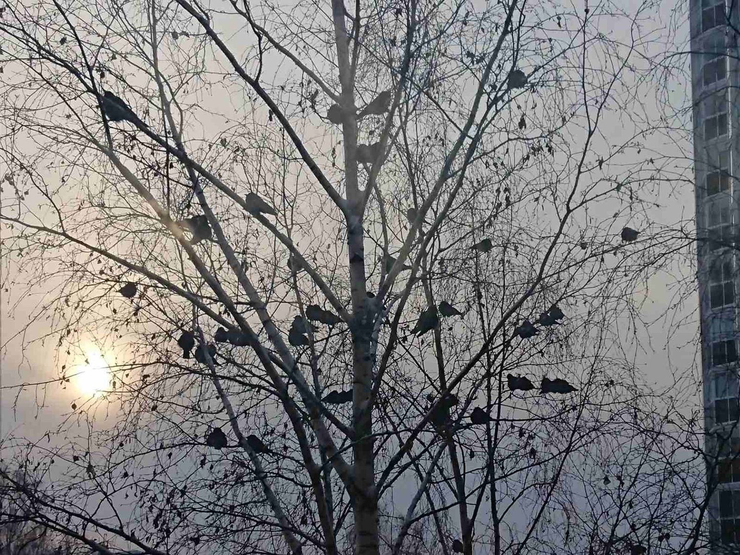 изображение_viber_2023-01-07_12-21-31-288.jpg
