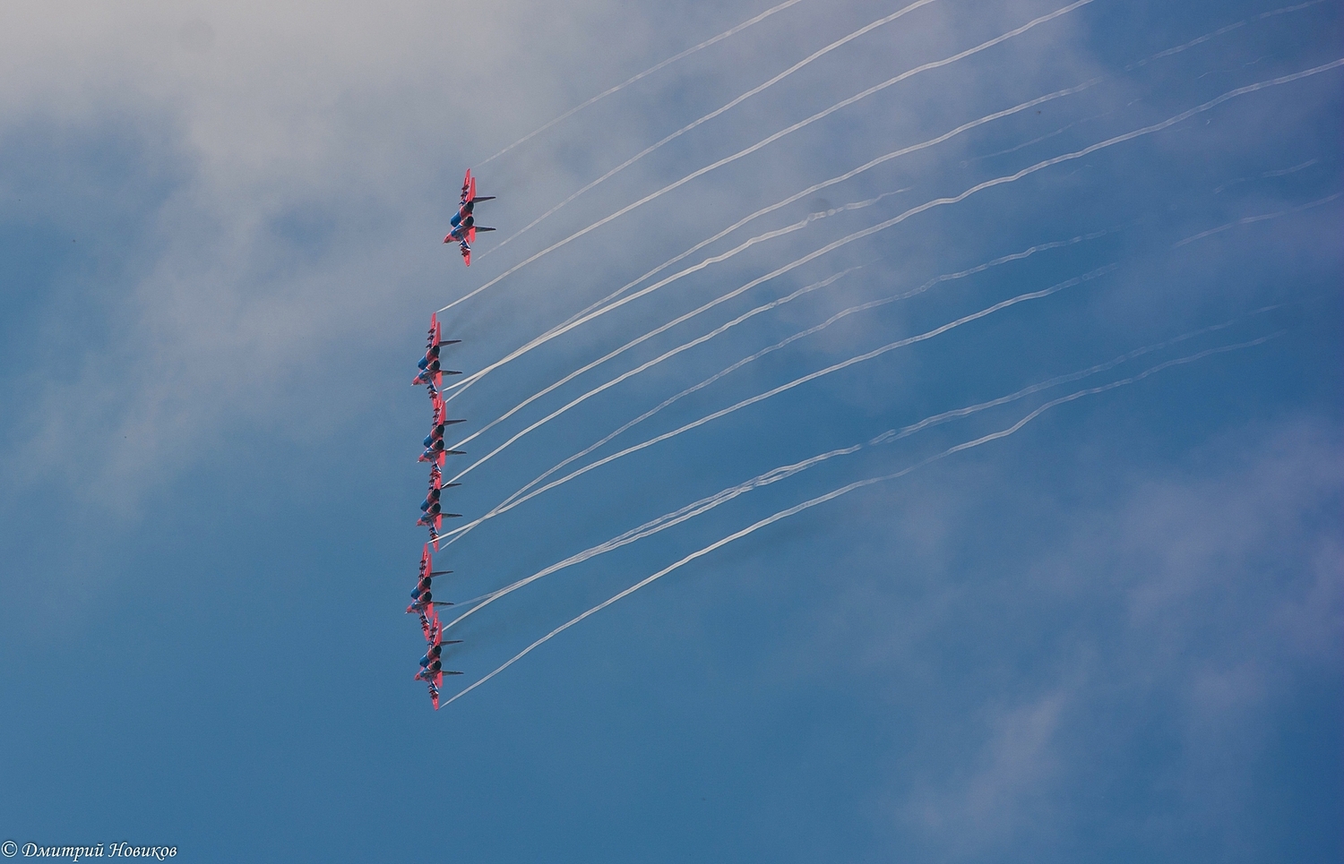 DSC_6774.jpg