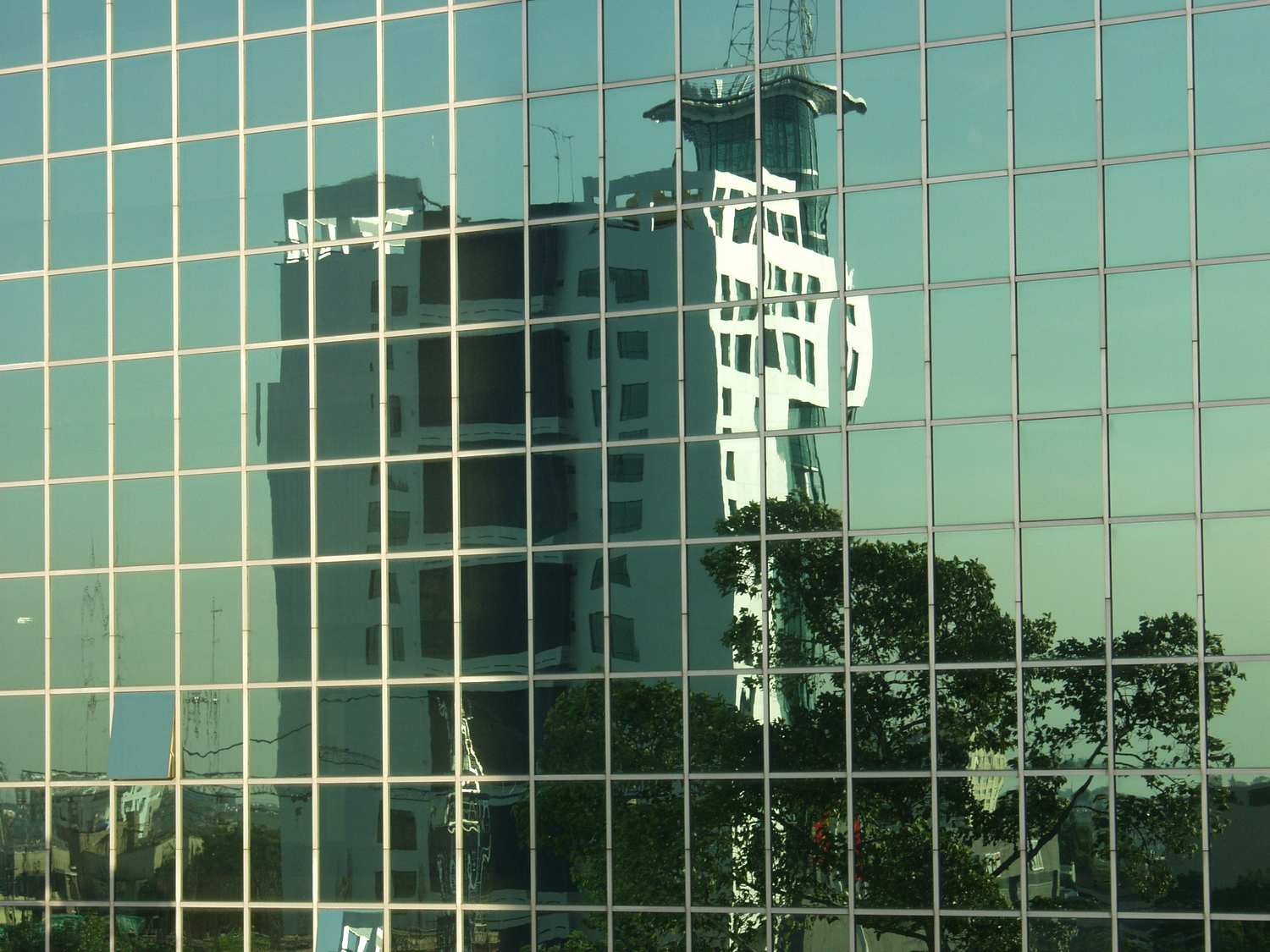 P4117252.JPG