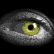 Hyde