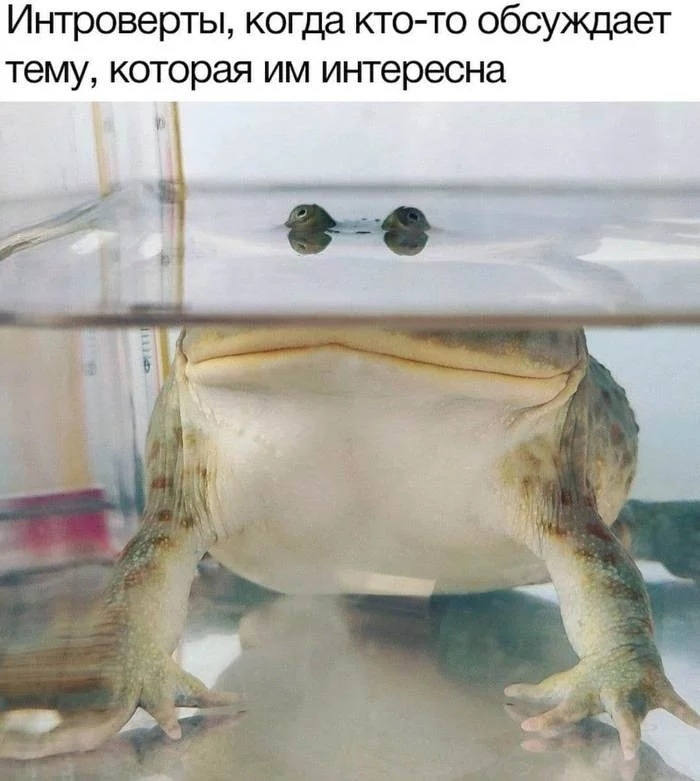 7gjEXXeKOFM.jpg
