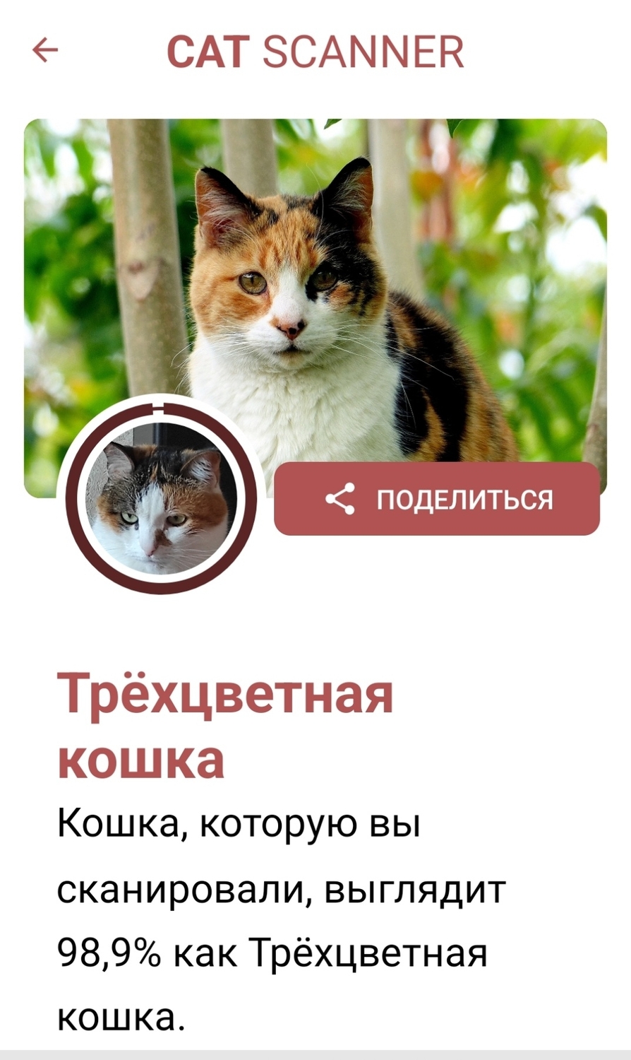 изображение_viber_2023-04-17_10-51-35-394.jpg