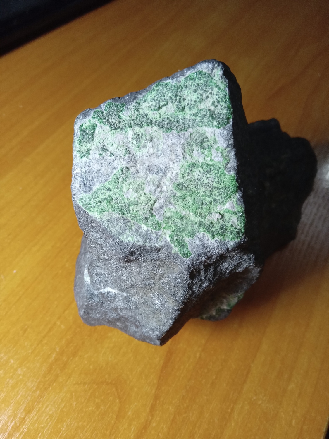 20230415_234348.jpg