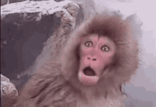 741211681_.gif.dad97fa15b71d946d9dadcd9278f09e1.gif.49f7e519bc71d7771e60e52ffc97fd6b.gif