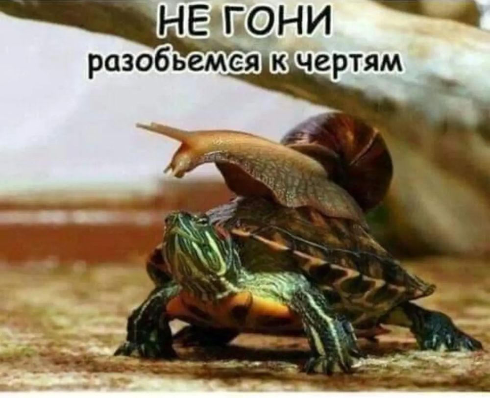 7Vtb0BSV0C0d66hSAf5opWqVdWw-1920.jpg